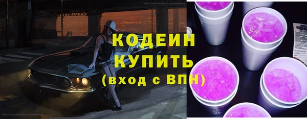 PSILOCYBIN Бородино