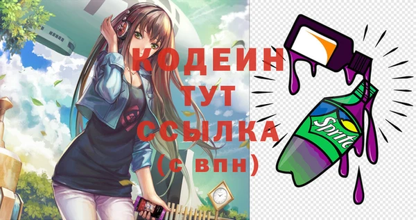 PSILOCYBIN Бородино