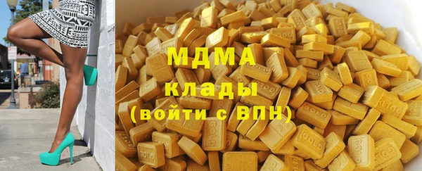 PSILOCYBIN Бородино