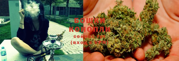 PSILOCYBIN Бородино