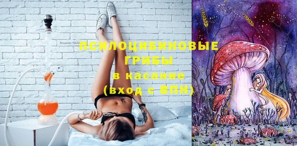 хмурый Бронницы